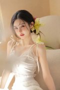 醉梦仙材料_醉梦仙材料V8317(中国)网坐-