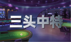 2024新澳门网坐