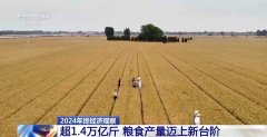 2024年终察看丨本年我国粮食产量初次冲破