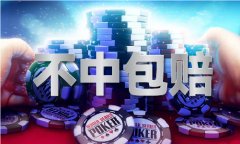 <b>内部材料和公开材料授权</b>