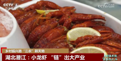 从“一季红”到“四时鲜” 小龙虾“链”